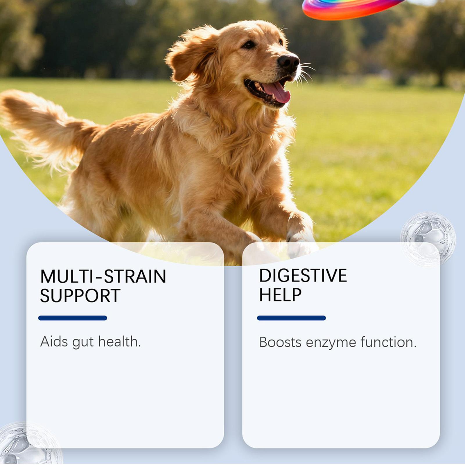 Mordidas de bem-estar para cãe - Health Wellness Food avaliação e preço